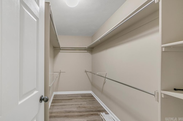 spacious closet featuring light hardwood / wood-style floors