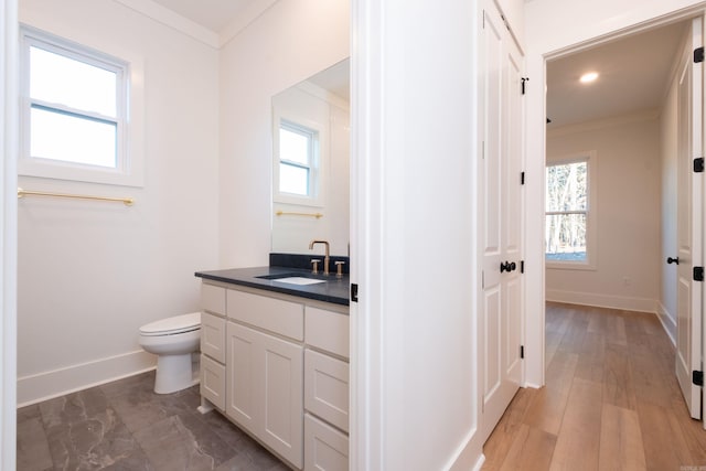 bathroom featuring crown molding, vanity, and a wealth of natural light