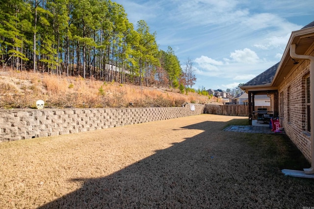 view of yard with a patio area