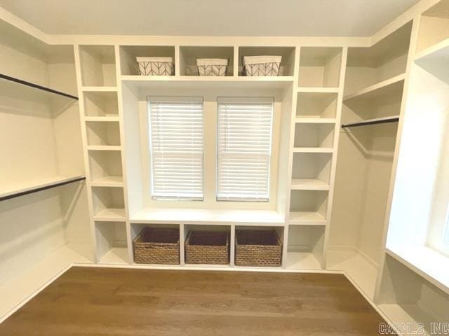 spacious closet featuring dark wood-type flooring