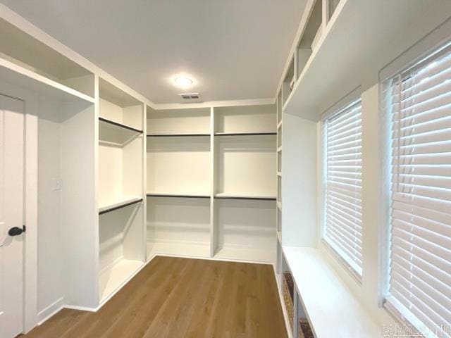 walk in closet with dark hardwood / wood-style flooring