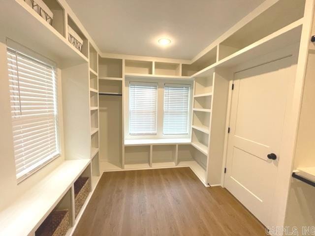 spacious closet with hardwood / wood-style floors