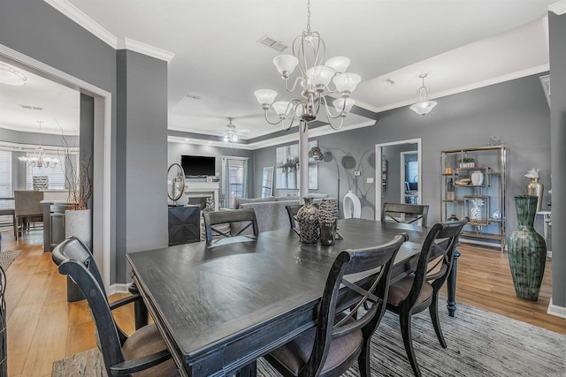 dining room featuring ceiling fan with notable chandelier, light wood-type flooring, and crown molding