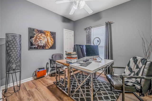 office area featuring hardwood / wood-style flooring and ceiling fan