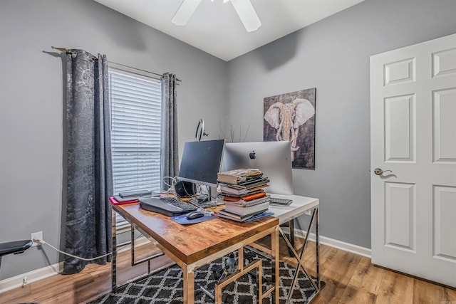 office with hardwood / wood-style flooring and ceiling fan