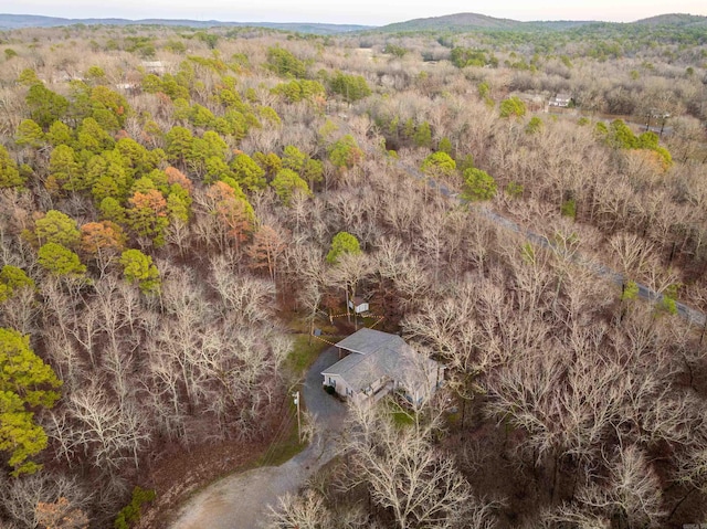 drone / aerial view featuring a mountain view