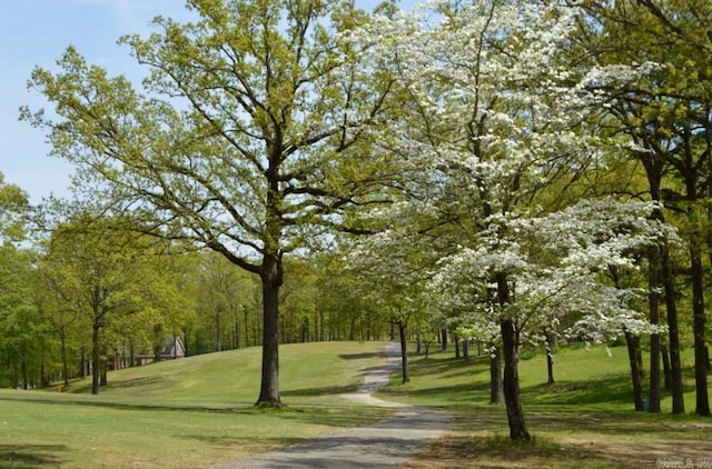 view of home's community featuring a lawn