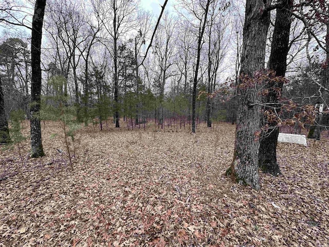 0 Morrison Rd, Concord AR, 72523 land for sale