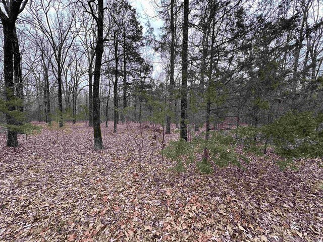 Listing photo 3 for 0 Morrison Rd, Concord AR 72523