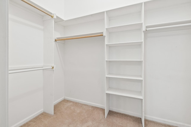 spacious closet with light colored carpet