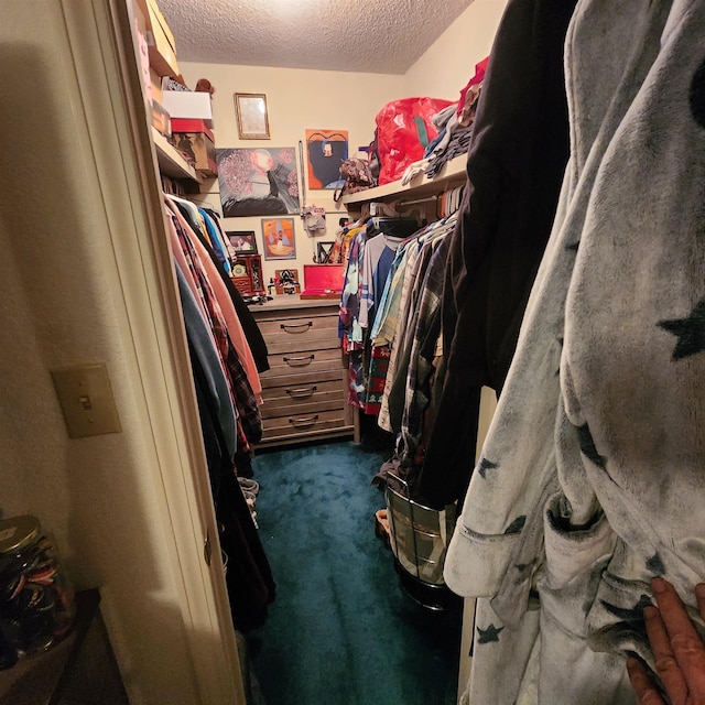 walk in closet with dark carpet