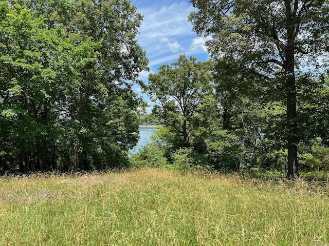 view of landscape