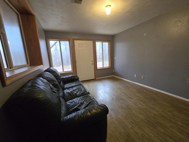 living room with hardwood / wood-style flooring and a wealth of natural light