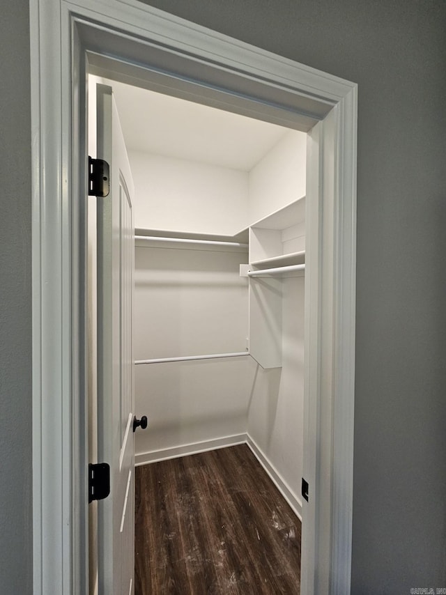 walk in closet featuring dark hardwood / wood-style floors