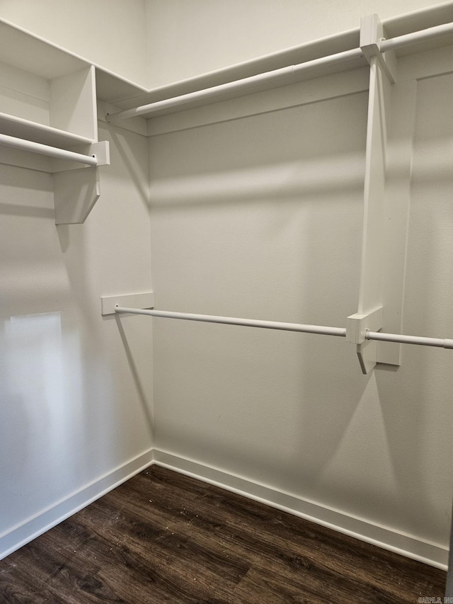 walk in closet featuring wood-type flooring