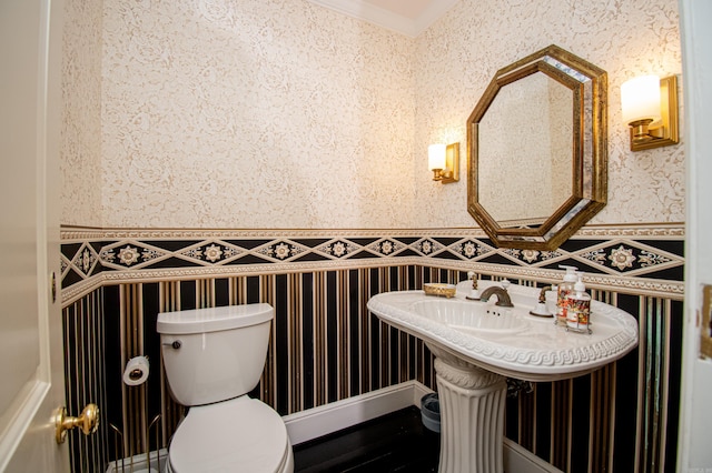 bathroom featuring toilet and crown molding