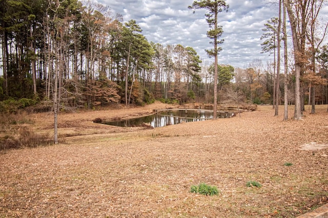 view of yard featuring a water view