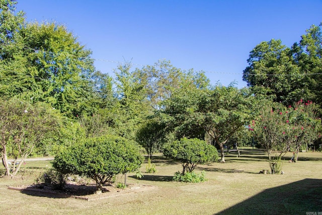 surrounding community with a lawn