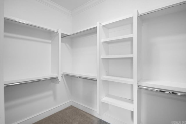 spacious closet with carpet flooring