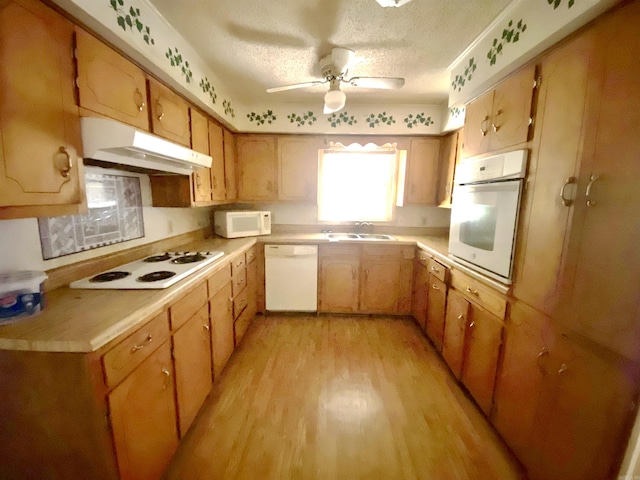 kitchen featuring ceiling fan, sink, light hardwood / wood-style flooring, a textured ceiling, and white appliances