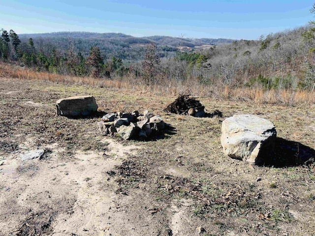 view of mountain feature