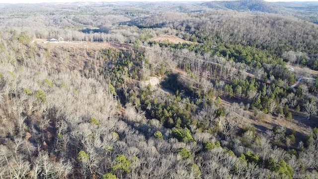 bird's eye view featuring a mountain view