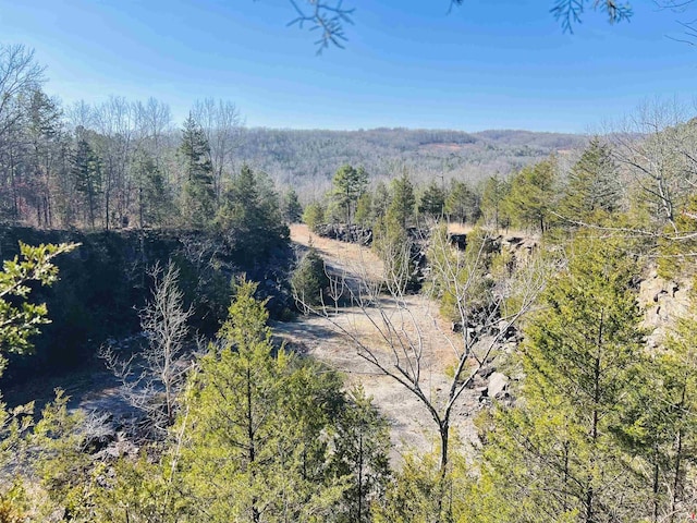 view of mountain feature