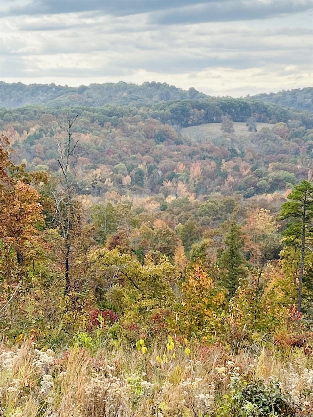 view of mountain feature