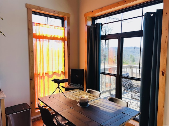 dining area featuring a mountain view and light hardwood / wood-style floors