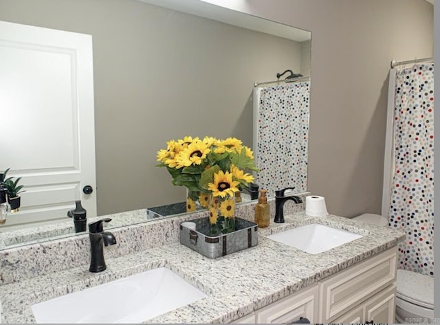 bathroom featuring vanity, a shower with shower curtain, and toilet