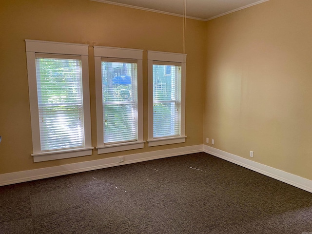 spare room featuring carpet flooring and crown molding