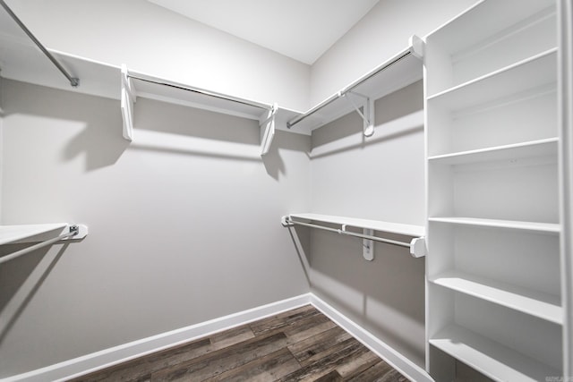 spacious closet featuring dark hardwood / wood-style flooring