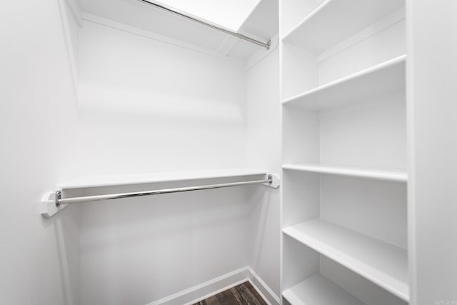 walk in closet with wood-type flooring