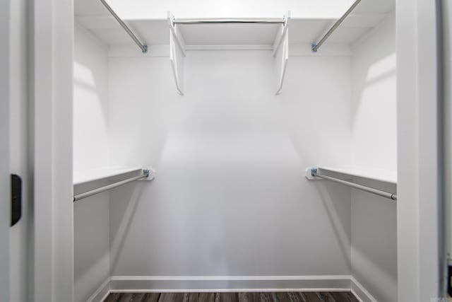 walk in closet featuring dark hardwood / wood-style flooring