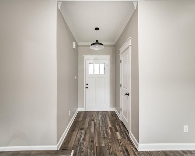 doorway to outside with dark hardwood / wood-style floors