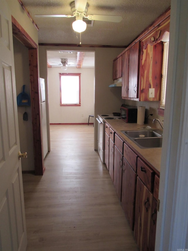 kitchen with sink, ceiling fan, range with electric stovetop, a textured ceiling, and light hardwood / wood-style floors