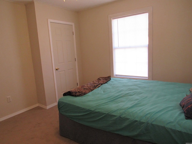 bedroom with carpet