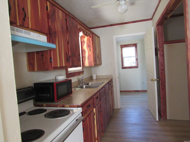 kitchen featuring a textured ceiling, ceiling fan, sink, light hardwood / wood-style flooring, and white electric stove