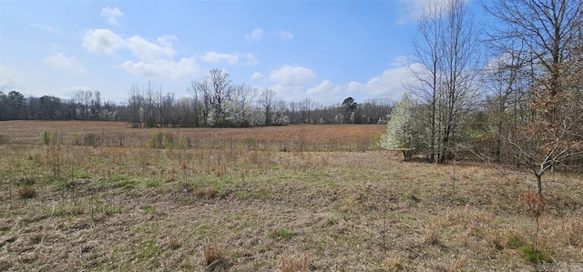 view of landscape featuring a rural view