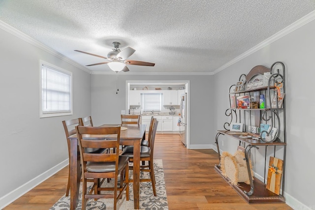 dining area with ceiling fan, light wood-type flooring, and ornamental molding