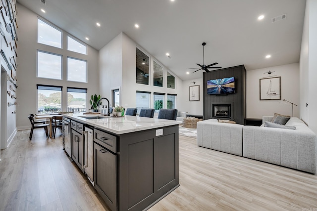 kitchen featuring light stone counters, sink, a fireplace, light hardwood / wood-style floors, and an island with sink