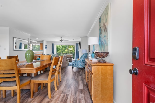 dining room featuring ceiling fan, hardwood / wood-style floors, and ornamental molding