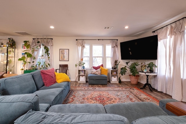 living room with wood-type flooring