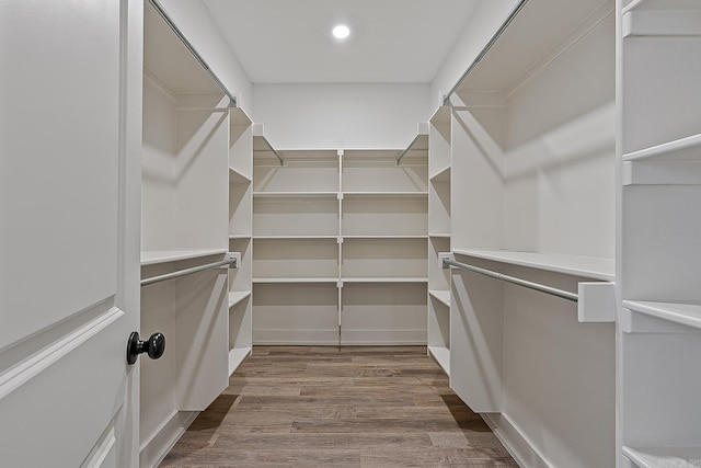 walk in closet with wood-type flooring