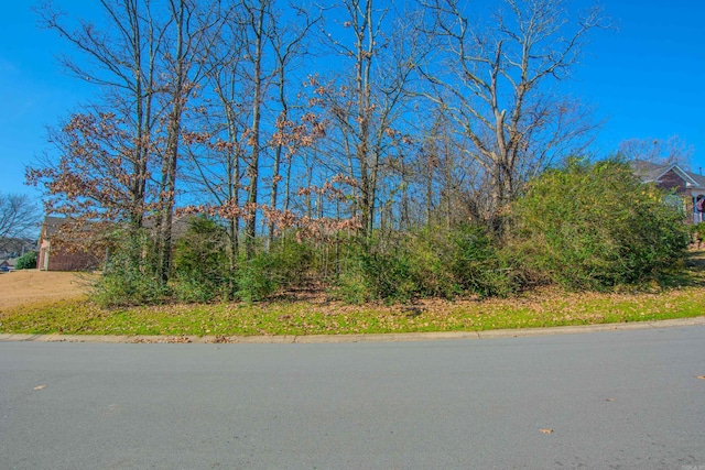 Listing photo 3 for LOT40 Hidden Creek Dr, North Little Rock AR 72120