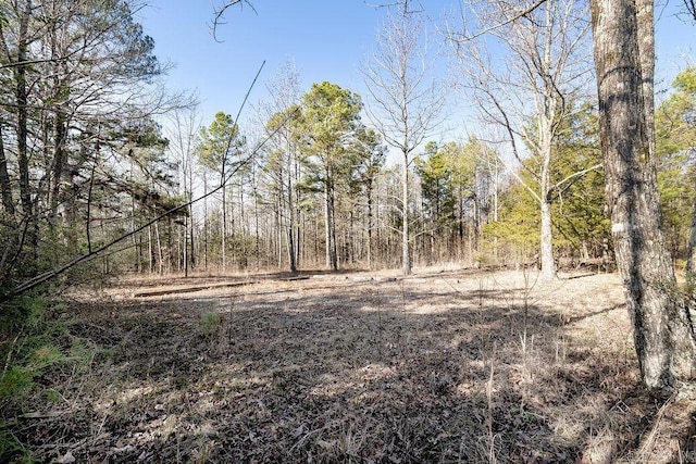 Listing photo 2 for 000 Junior Rd, Clinton AR 72031