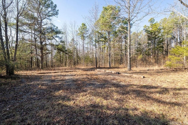 Listing photo 3 for 000 Junior Rd, Clinton AR 72031