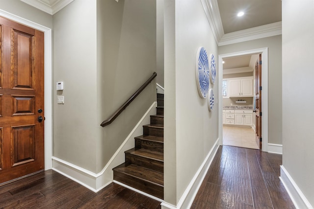 foyer entrance featuring wood-type flooring and crown molding