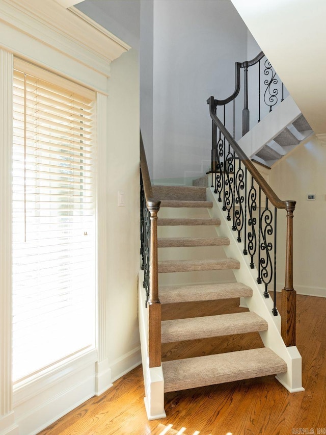 staircase featuring wood-type flooring and a wealth of natural light