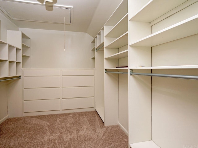 spacious closet with light carpet